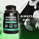 pure-original-ingredients-gymnema-sylves-5.jpg