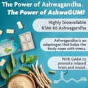 ashwagum-relax-gum-by-bettergum-high-pot-4.jpg