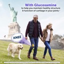 schiff-glucosamine-2000mg-per-serving-hy-4.jpg