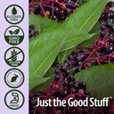 natures-answer-sambucus-mega-gummies-7x--5.jpg