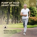600-mg-berberine-supplement-berberine-hc-6.jpg