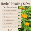 birth-song-botanicals-herbal-healing-sal-6.jpg