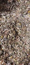 rising-phoenix-apothecary-fibroid-ease-h-4.jpg