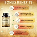 elderberry-capsules-natural-black-elderb-4.jpg