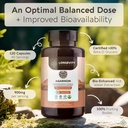 longevity-botanicals-agarikon-mushroom-e-5.jpg