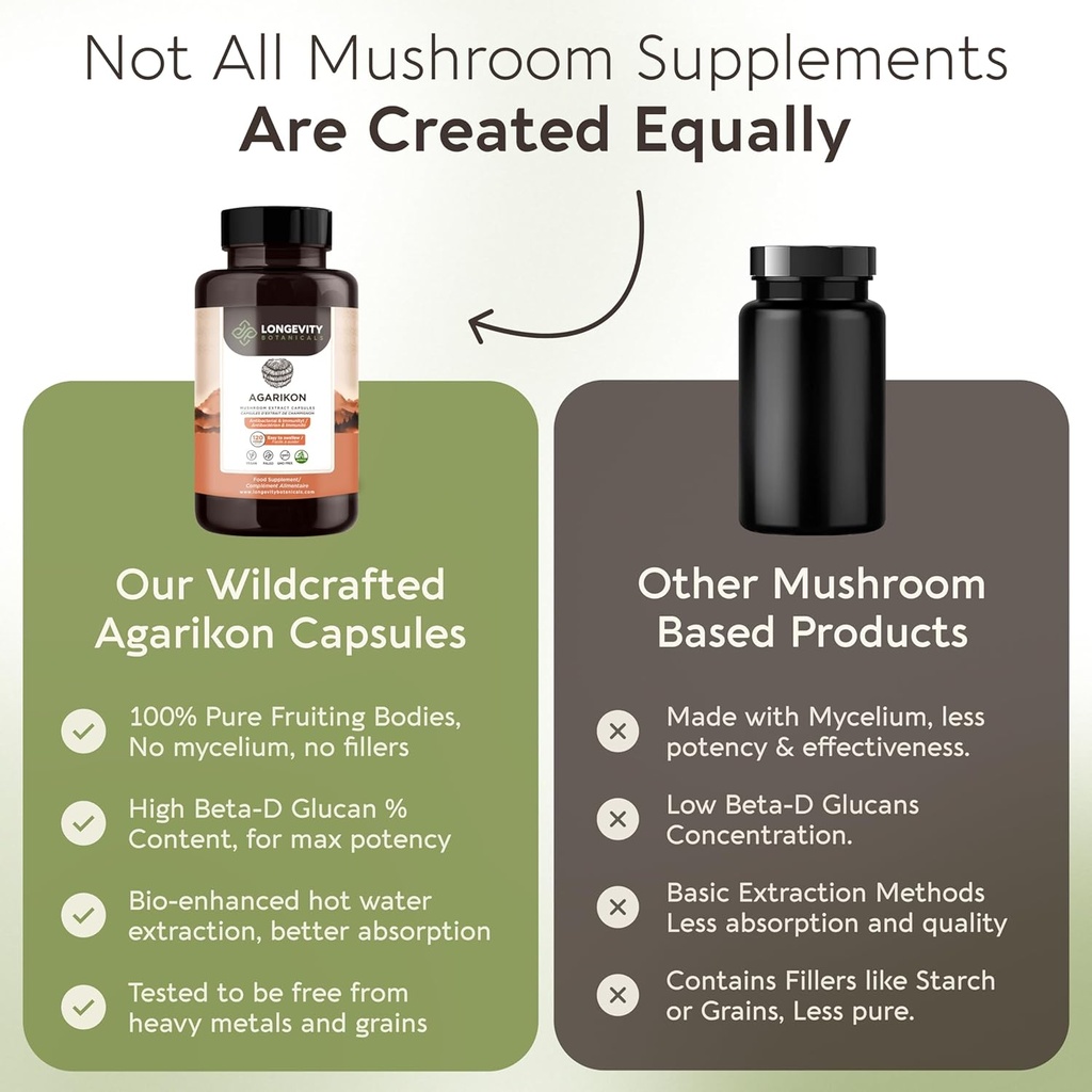 longevity-botanicals-agarikon-mushroom-e-6.jpg
