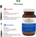 foods-for-gut-lactobacillus-plantarum-pr-5.jpg