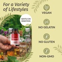 herbamama-cranberry-extract-capsules---3-5.jpg