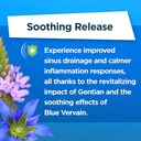 sinus-support-advanced-formula-helps-sup-6.jpg