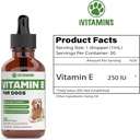 vitamin-e-for-dogs-vitamin-e-dog-vitamin-2.jpg