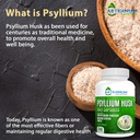 aeternum-psyllium-husk-caps-usa-made---p-2.jpg