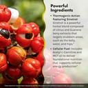 irwin-naturals-in-triple-shredder-body-s-5.jpg