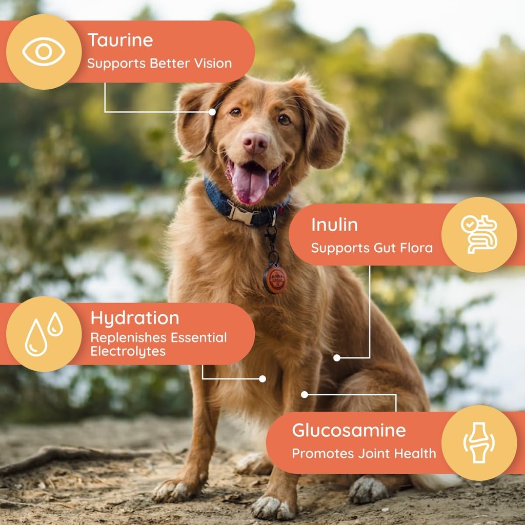 petralyte-dog-electrolytes-and-joint-sup-2.jpg