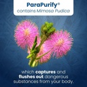parapurify-120-capsules-digestive-health-5.jpg