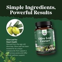 potent-olive-leaf-extract-capsules---hig-4.jpg