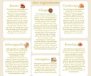 goldmine-adaptogens-superfoods-reishi-or-4.jpg