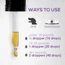 dog-uti-treatment-urinary-tract-infectio-5.jpg