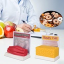 simcoach-human-body-fat-muscle-replica-5-5.jpg