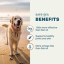 protect-safe-sea-3.jpg