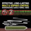 garlic-tunnel-tubes-for-moles-gophers-20-2.jpg