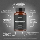 akkermansia-probiotic-with-prebiotic-fib-2.jpg