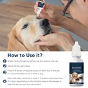 cataract-drops-for-dogs-dog-eye-drops-im-5.jpg