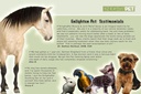 jadience-dog-cat-horse-sore-muscle-pain--4.jpg