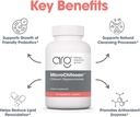 allergy-research-group-microchitosan-sup-4.jpg
