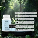mars-performance-combo-shilajit-resin-su-2.jpg