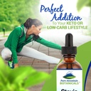 pure-mountain-botanicals-liquid-stevia-d-5.jpg