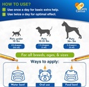 kennel-cough-treatment-for-dogs-cats-hel-4.jpg