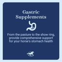 stress-ease-horse-calming-supplies-preme-6.jpg
