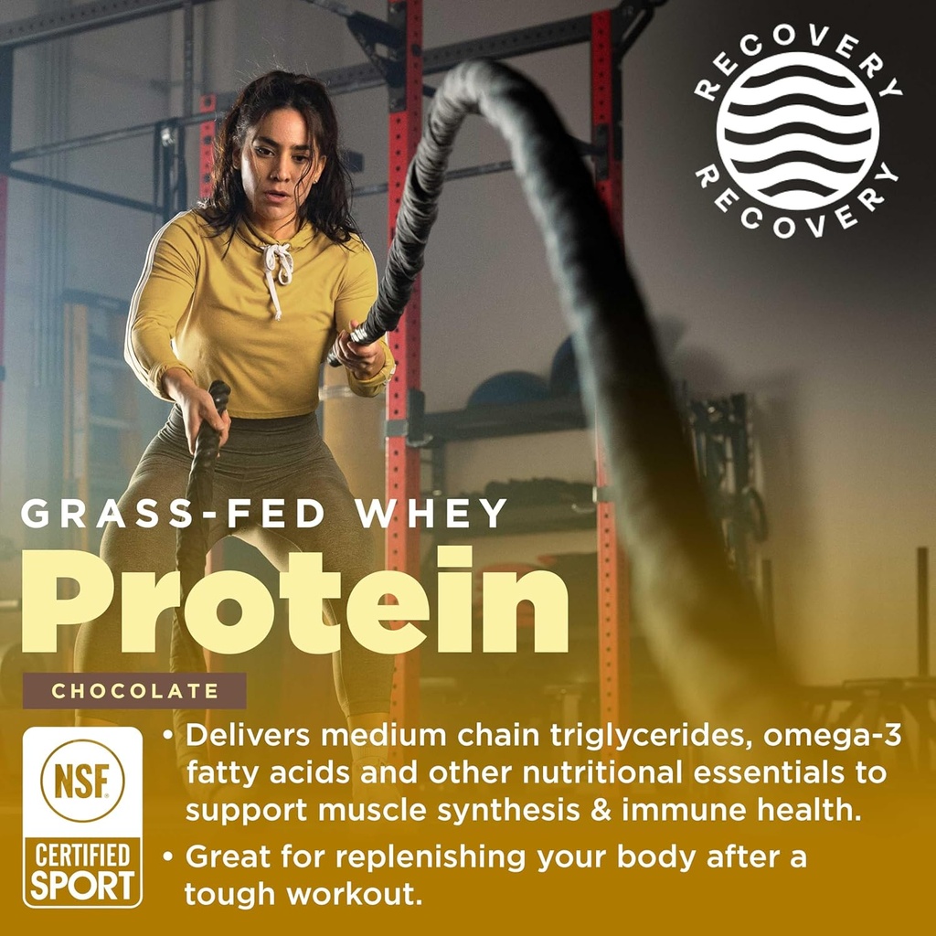 gnarly-nutrition-chocolate-protein-powde-3.jpg