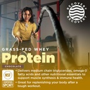 gnarly-nutrition-chocolate-protein-powde-3.jpg