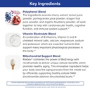 gundry-md-vital-recharge-supplement-powd-5.jpg