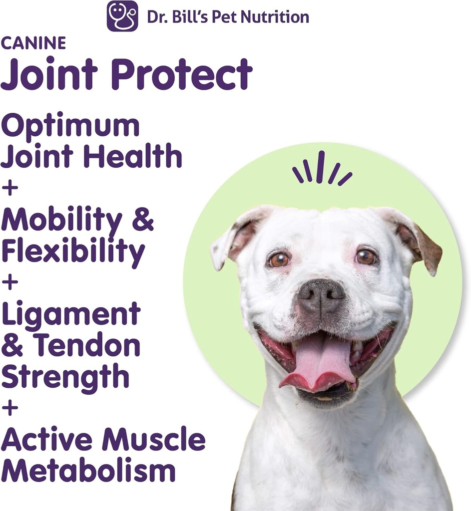 dr-bills-canine-joint-protect-joint-supp-4.jpg