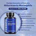 akkermansia-probiotic-boosts-glp-1-300m--3.jpg