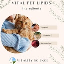 vitality-science-flex-n-free-vital-pet-l-4.jpg