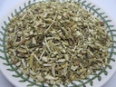 echinacea-herb---echinacea-purpurea-loos-3.jpg