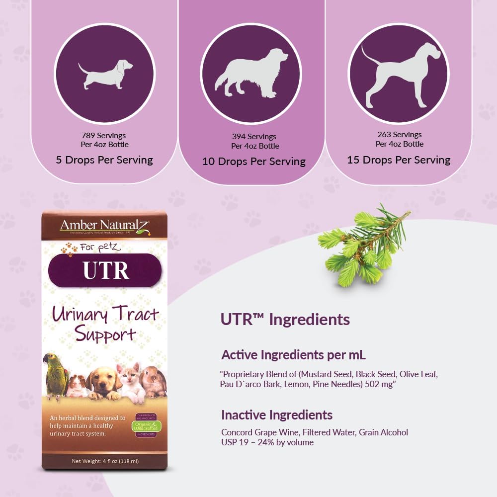 amber-naturalz-utr-urinary-tract-herbal--4.jpg