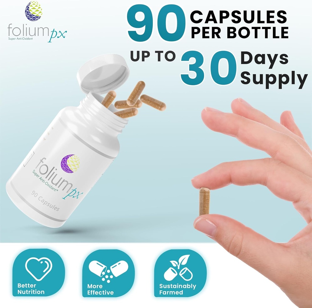 foliumpx-pure-pine-tree-partsgrape-seed--3.jpg