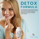 foliumpx-pure-pine-tree-partsgrape-seed--6.jpg