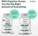 organics-ocean-wild-sea-moss-capsules-an-4.jpg