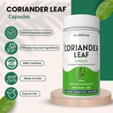 coriander-leaf-capsules-500mg-concentrat-5.jpg
