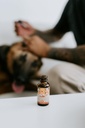 punkin-butt-ear-oil-for-cats-dogs-1-oz-b-2.jpg