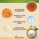 natures-base-turmeric-ginger-240-ct-gluc-5.jpg