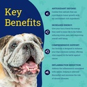 petheal-immune-guard---advanced-support--2.jpg