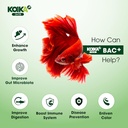koika-bac-aquarium-probiotics-immunity-b-3.jpg
