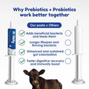 ruminants-pre-and-probiotic-paste-80g--p-3.jpg
