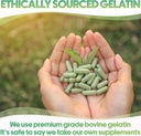 xprs-nutra-size-3-empty-capsules---500-c-5.jpg